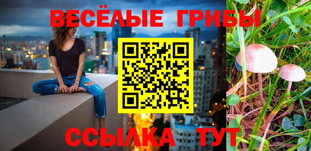 Псилоцибиновые грибы MAGIC MUSHROOMS Ишим